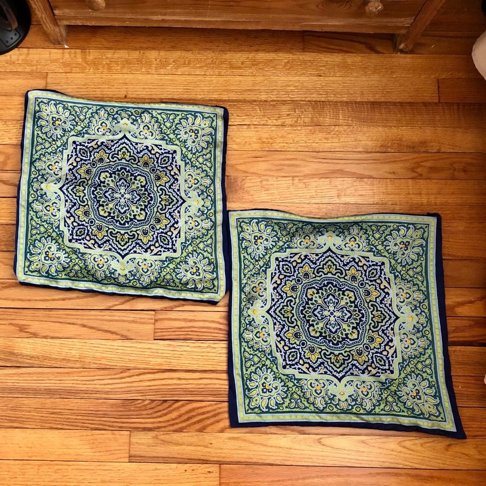Pair of Pottery Barn Silk Pillow Covers(Naomi)